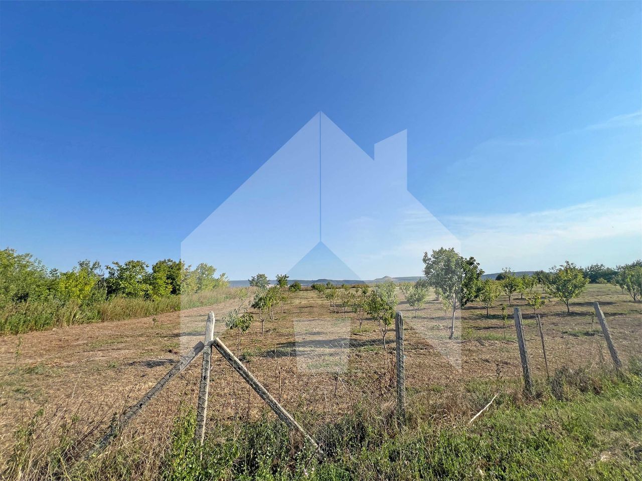 Продава се Земеделски имот в Нови пазар -  кв.м за 2210 €/дка - Снимка #5