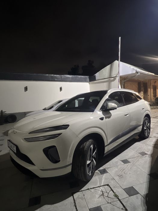 BYD Sealion - 06 Pilot Plus 605km Full Notarius