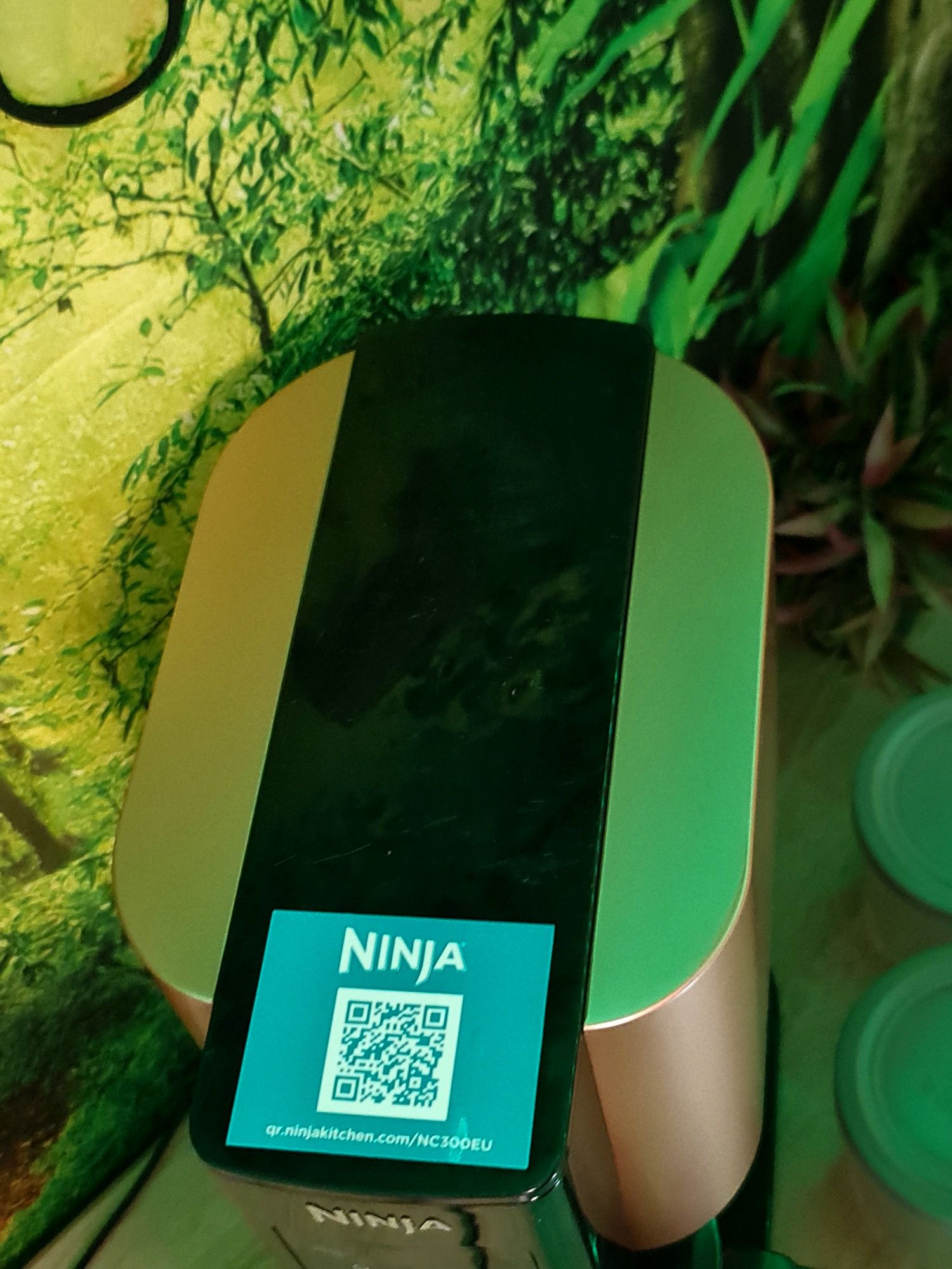 Ninja NC300EU Ice cream