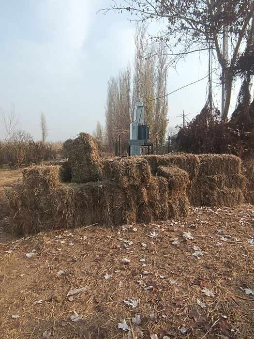 Chorva mollari uchun hashak pres