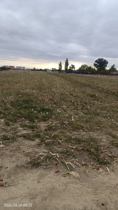 Vând tocătoare 1.80