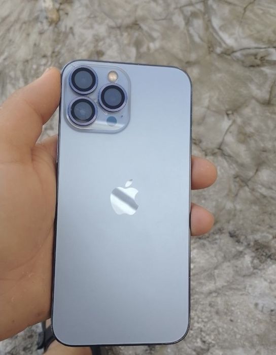 iPhone 13 Pro Max 256/100%