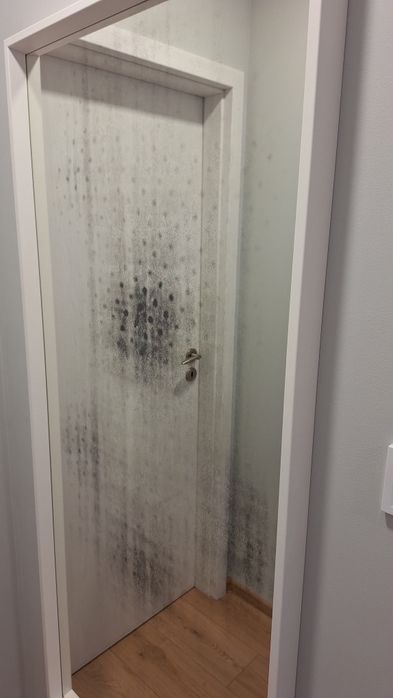 Огледало Икеа 65/150см