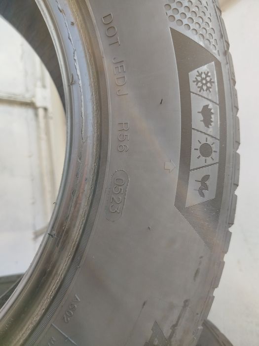 14 balon arca Minerva