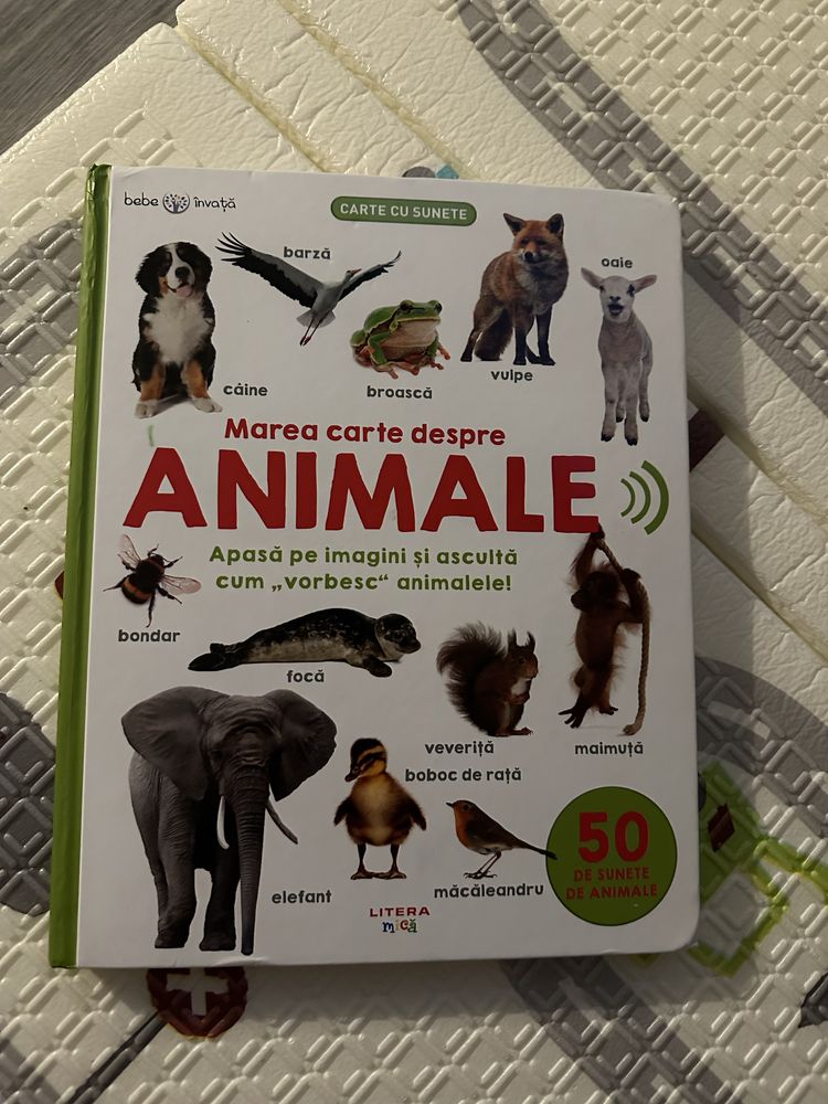 Carti pentru copii Usborne
