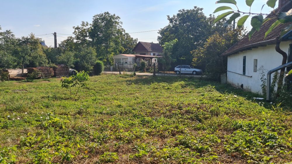 Teren intravilan Gradina Viilor 4041 mp