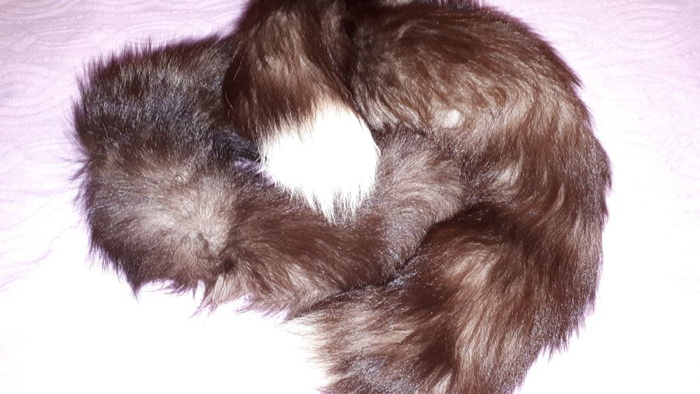 Guler vulpe argintie