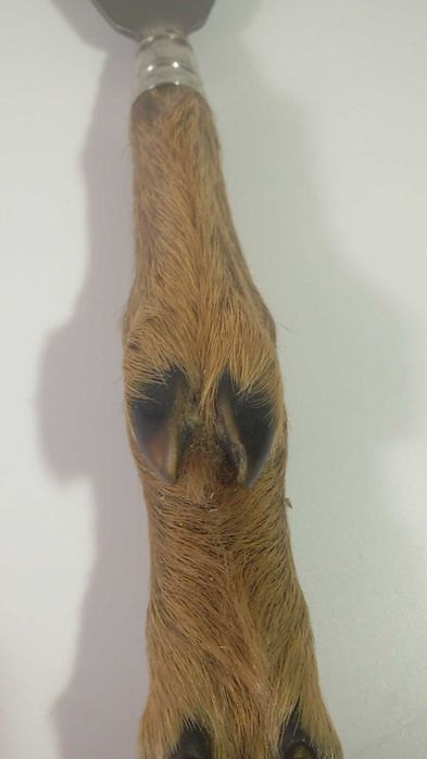 Отварачка от крак на елен