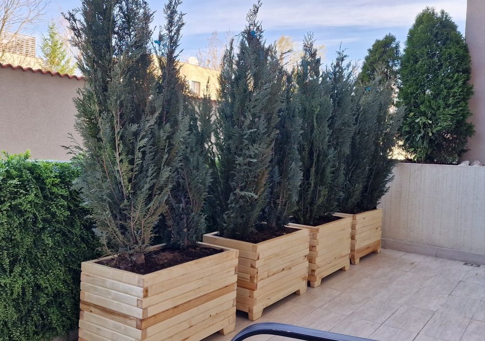 Jardiniere cu spalier la comanda