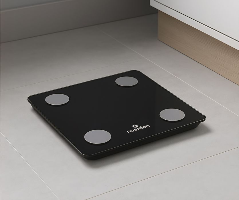 Cantar inteligent Noerden