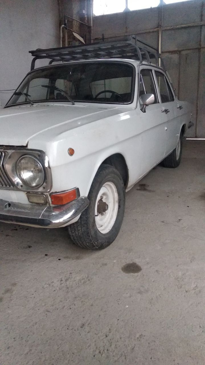 Volga 1984-yil sotiladi