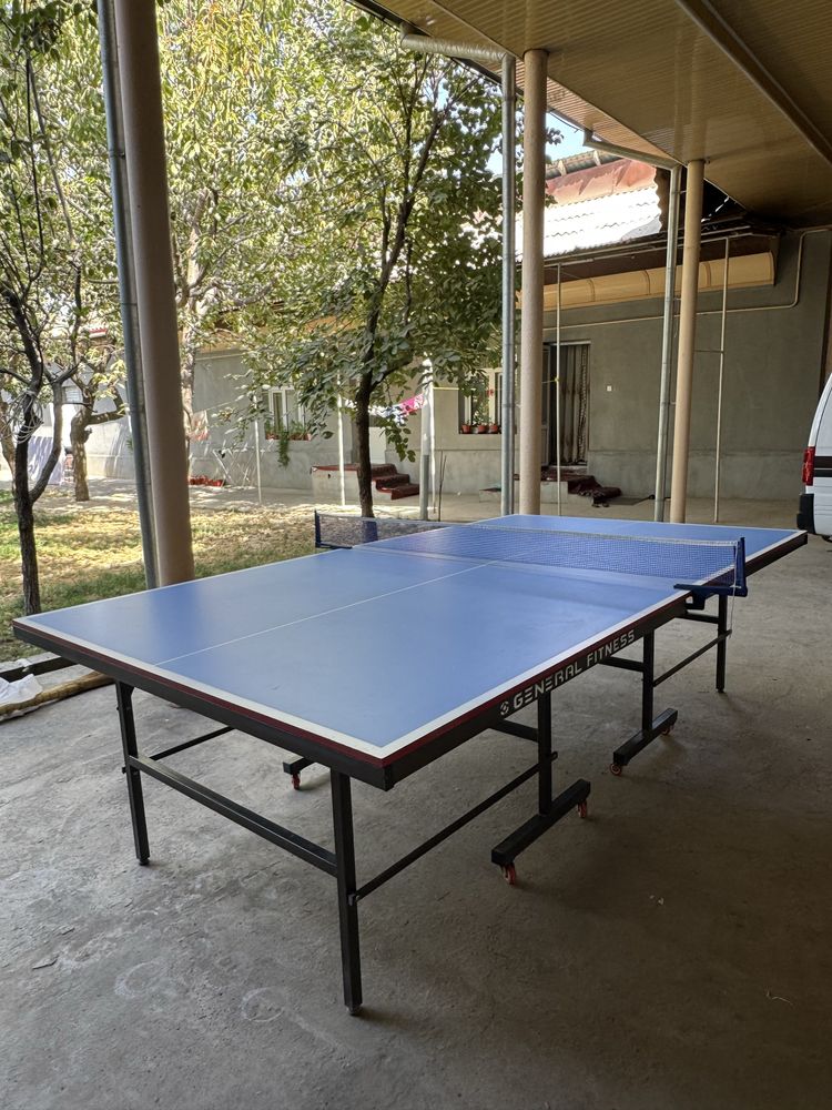Теннисный стол пинг-понг Stol tennis ping-pong