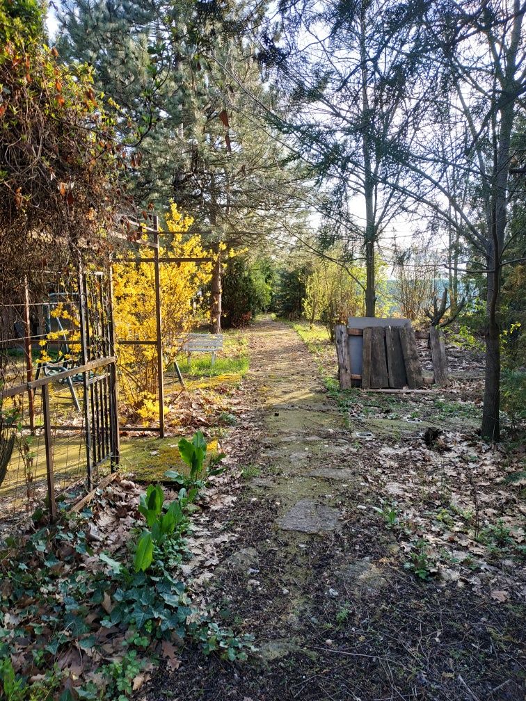 Vând parcele superbe pentru construcția de case.