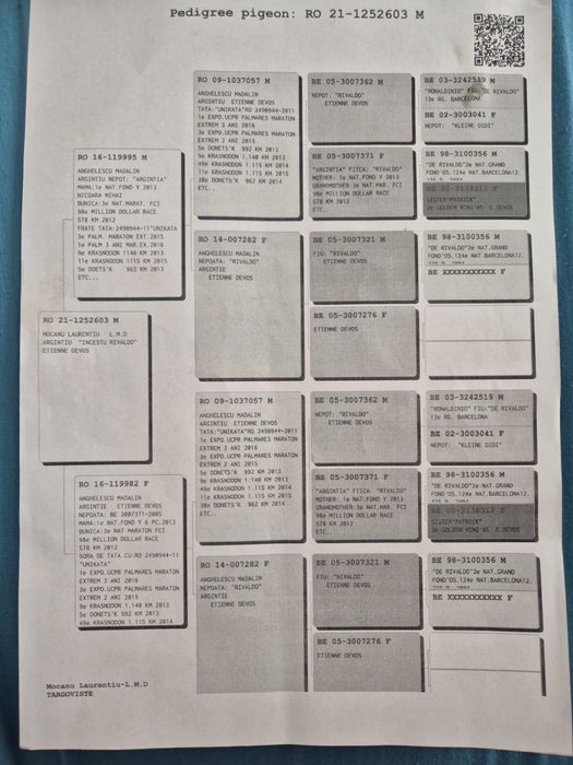 Porumbei voiajori cu pedigree