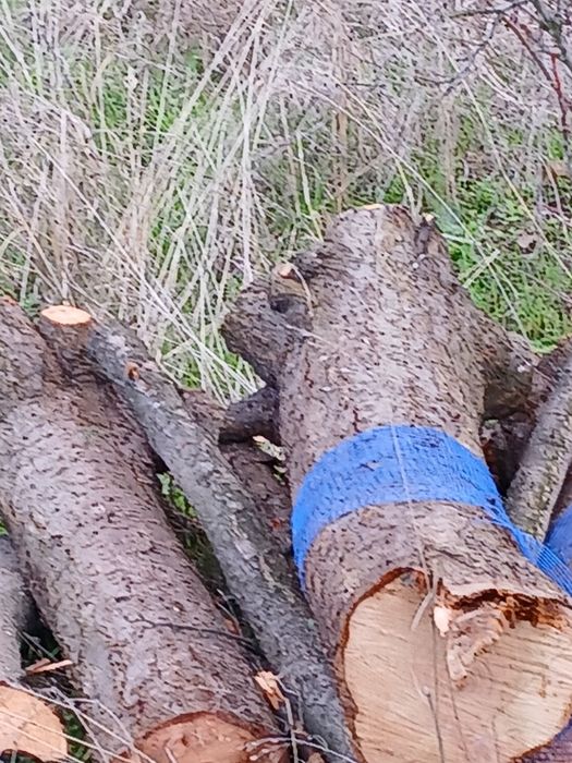 Дърва за огрев синя слива