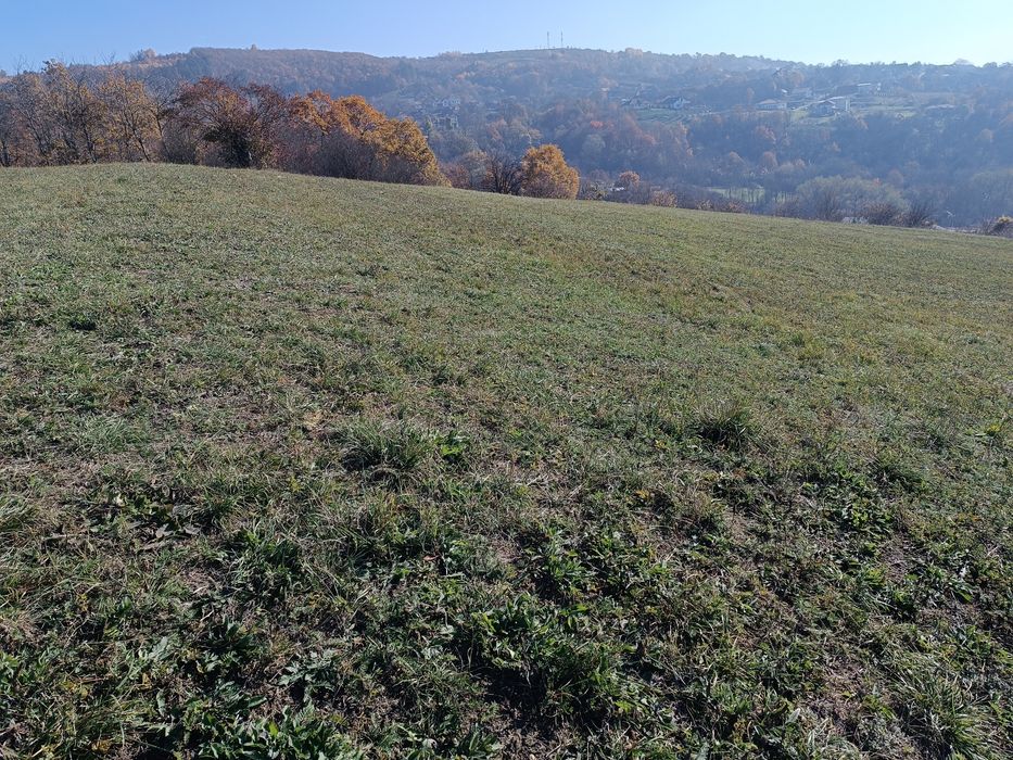 Vând teren in Popești deal extravilan parcele, la limită cu intravilan