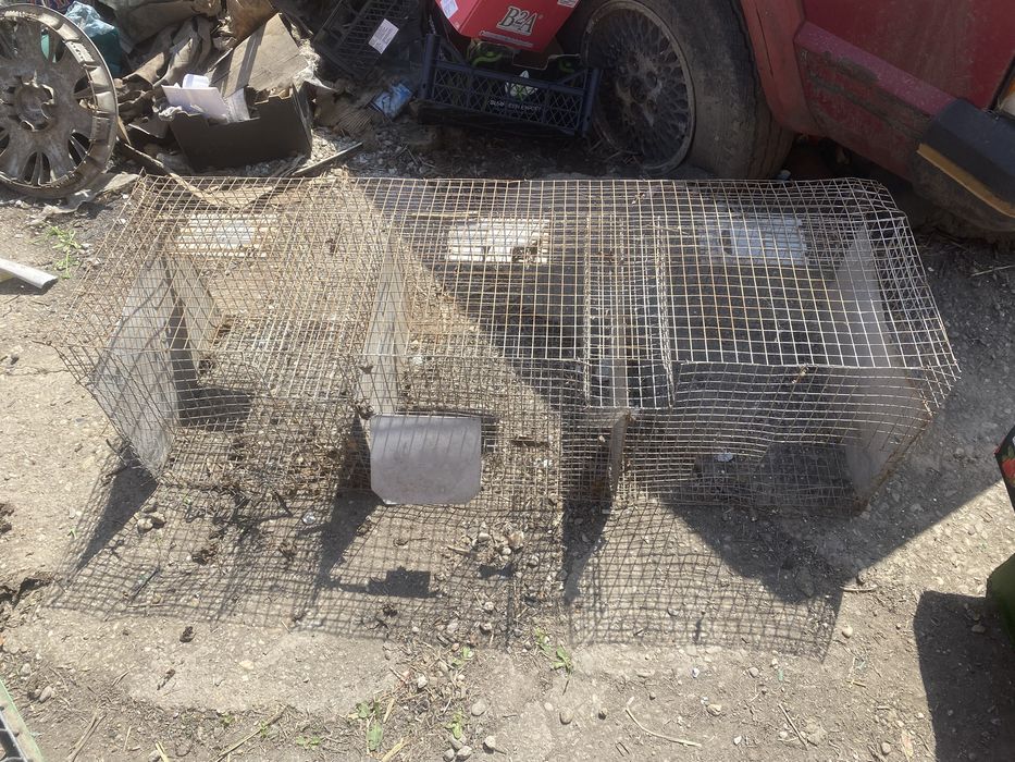 cusca metalica pasari cu 3 compartimente