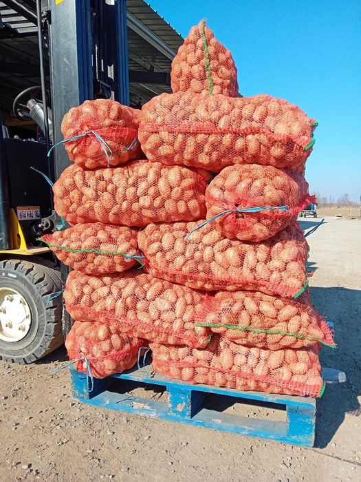 Cartofi de sămânță,elită clasa B,2 lei kg(disponibile cantităti mari)