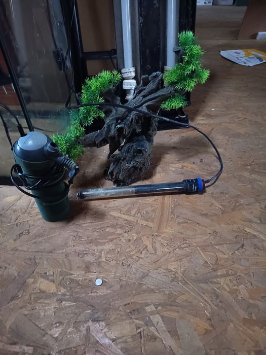 Acvariu pești sau broscute