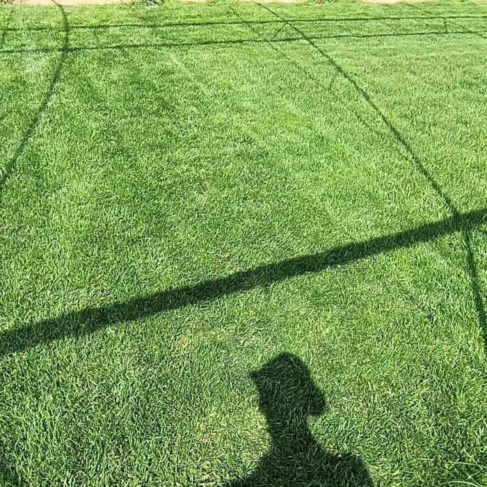 Автополив для газон