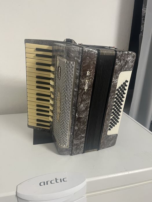 Acordeon timis(recomand incepatori sau pentru colectie