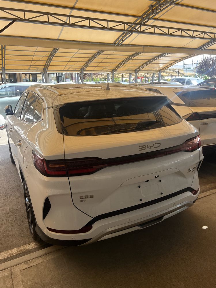 Byd chempion smart