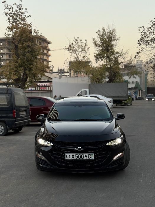 Malibu 2 Xl krasska tozza 2023
