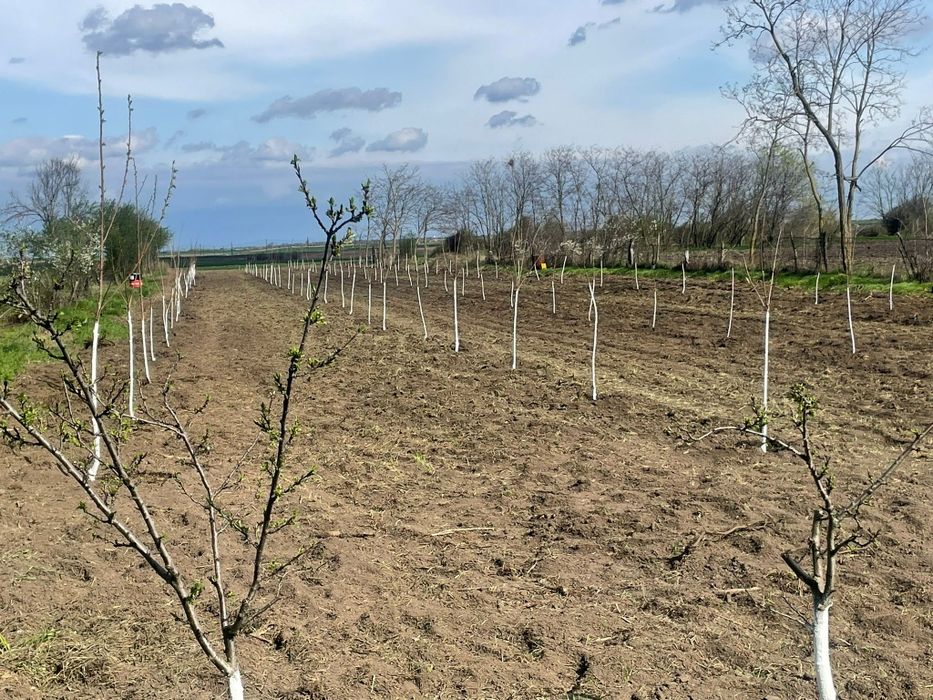 Vand urgent teren plus construcție