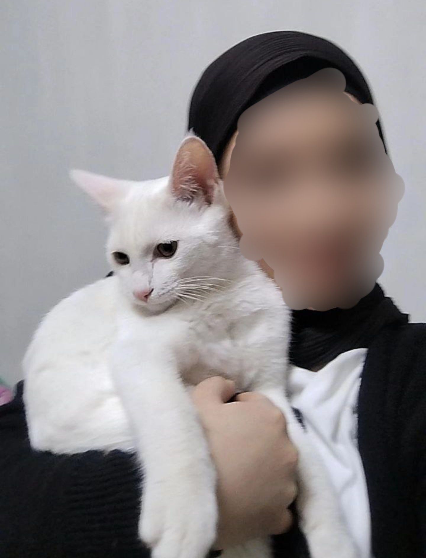 Кот 5 мес..не привит, игрив, весел, 5 мес. , без блох.