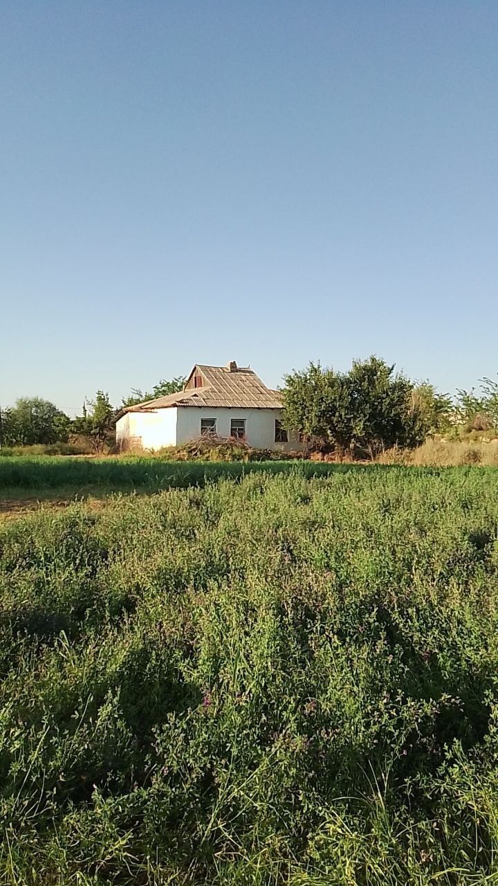 Срочно!Участка сотилади,кадастрли Сирдареда.Продается земля с 2мя к