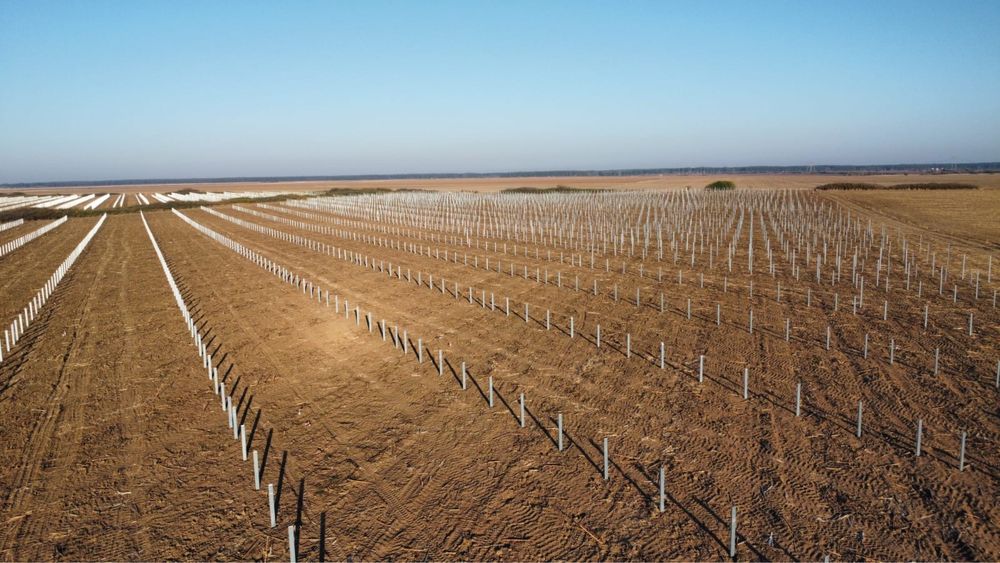 Servicii Sonete, Batipale pentru parcuri fotovoltaice, imprejmuiri