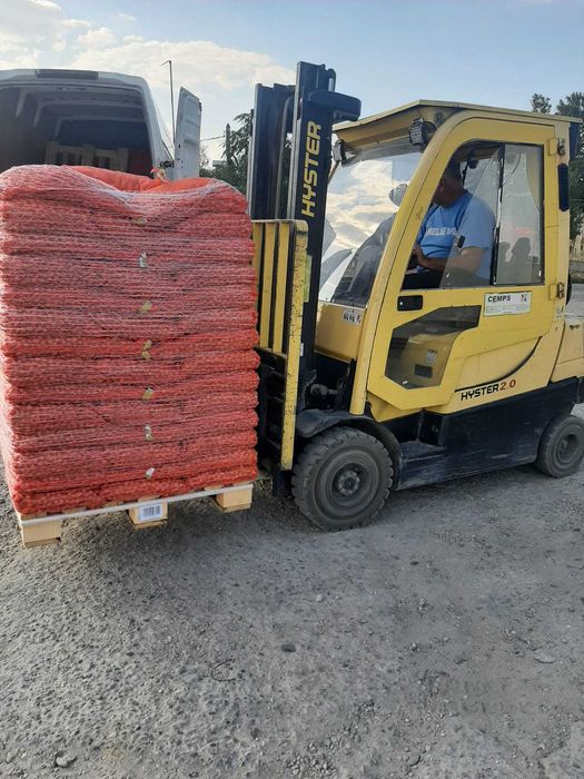 Vand arpagic olandez si romanesc, calitate excelenta