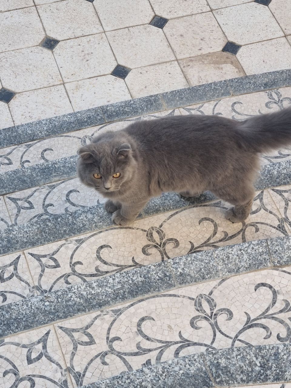 Vyazka kelin kerak
