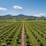 Fermă Agricolă Premium 300 Ha – Investiție Strategică În Transilvania
