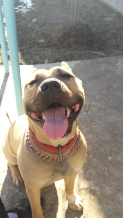 Обмен обмен обмен