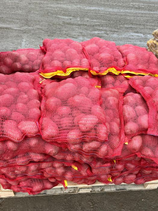 Cartofi de consum Alb si Roșu