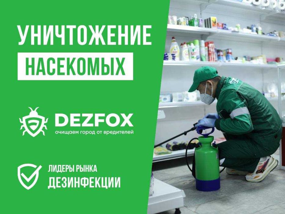 Дезинфекция Шымкент Уничтожение Насекомых Таракан Мышей Крыс БЕЗОПАСНО