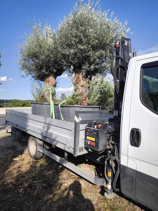 Transport general dube/carosate 3,5 T