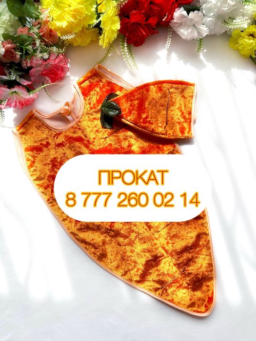 Костюм овоща тыква