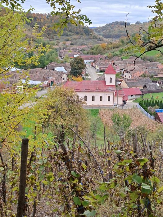 Vând teren intravilan