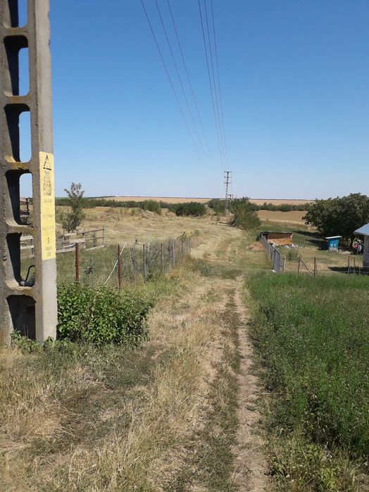 Vând teren intravilan în Tg.Frumos