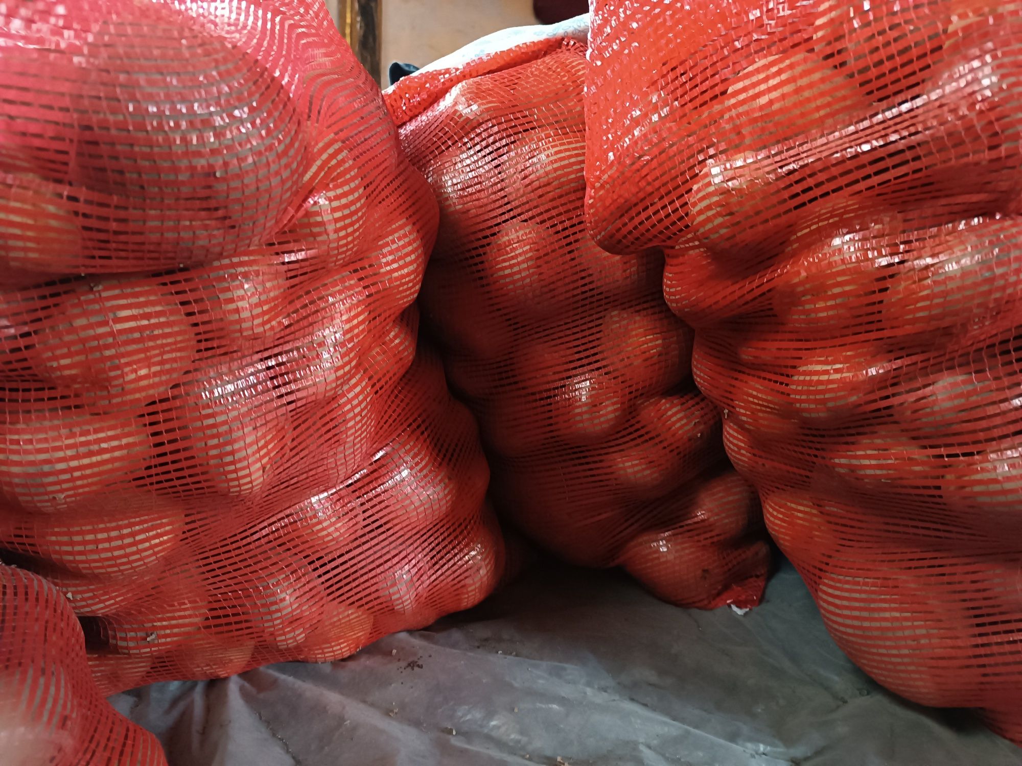 Продам домашнюю картошку