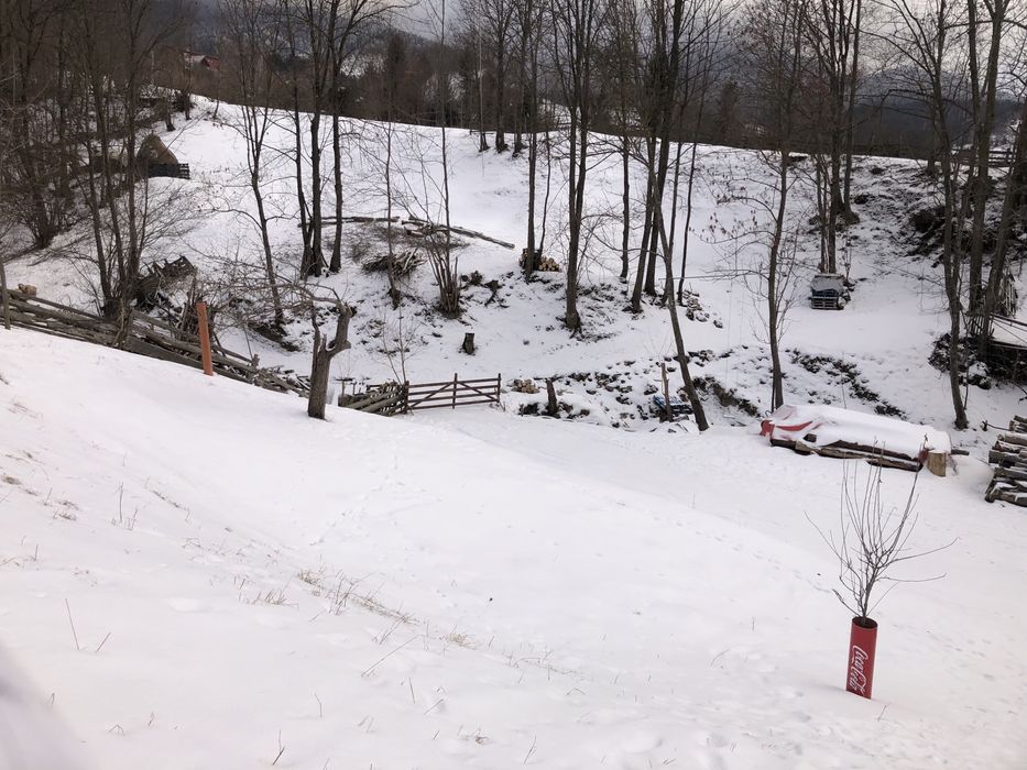 Cazare Bran-Vila Sorina Marina