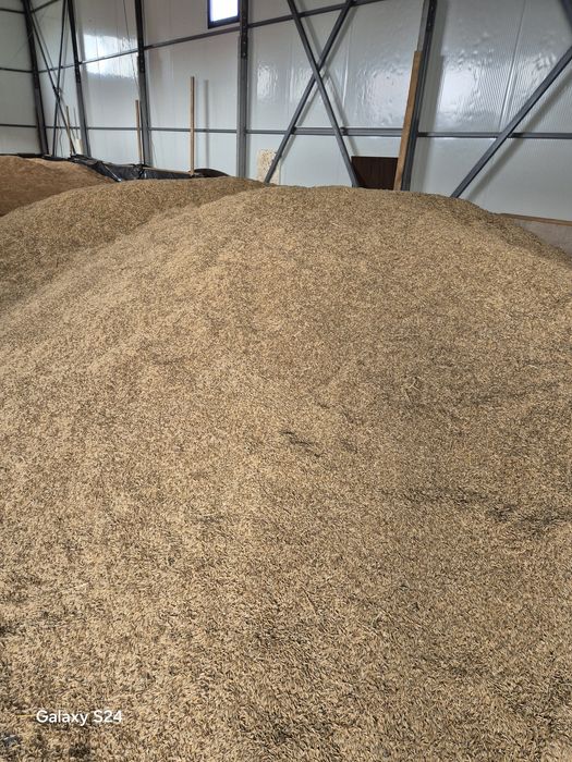 Vind cereale producție 2025