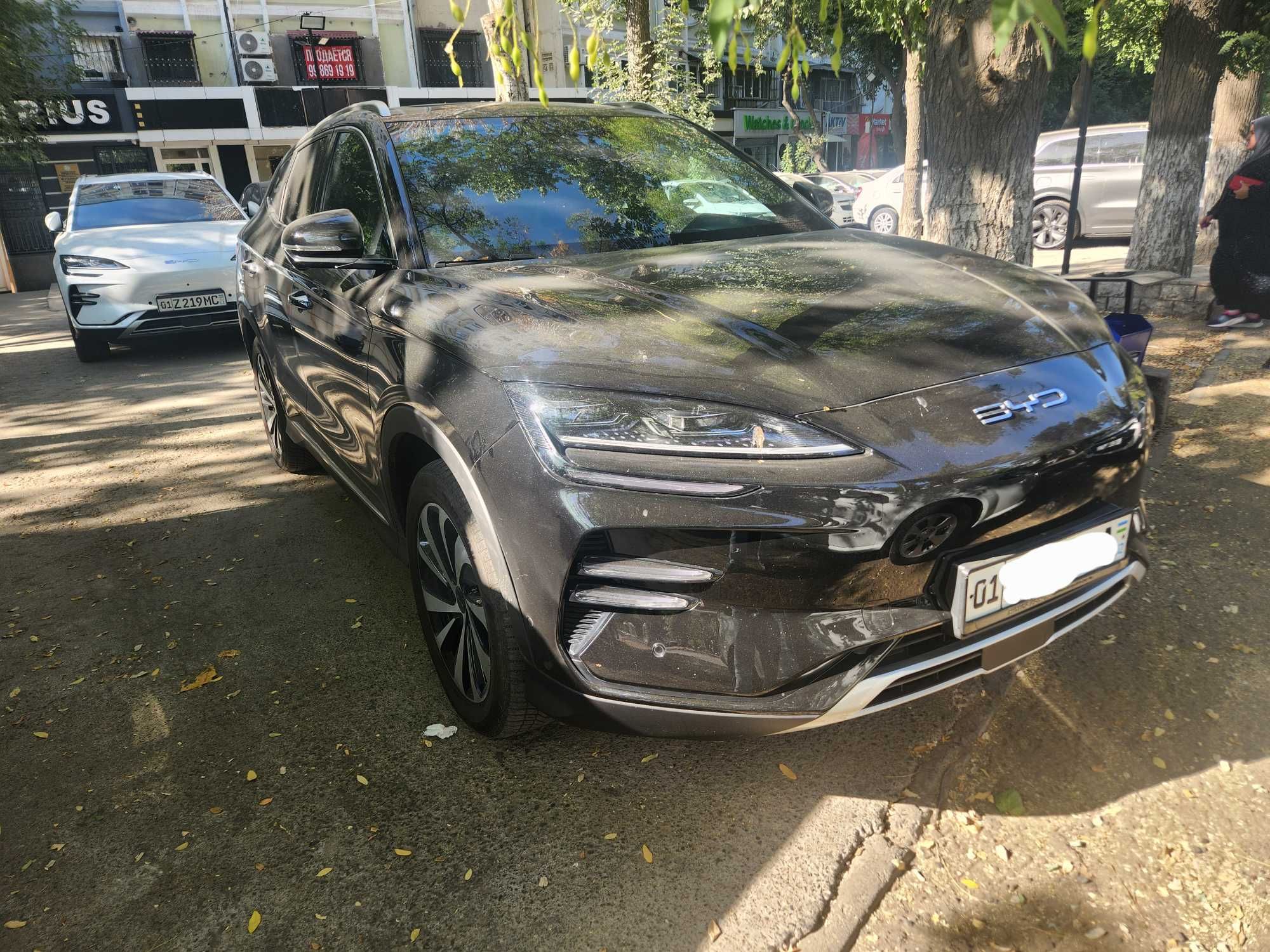 BYD Chempion 605, 2023