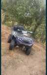 Vand kawasaki brute force 750