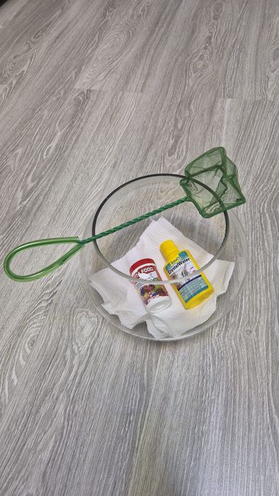 Acvariu bol sticla + hrana peste Betta