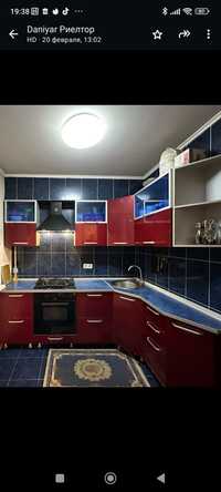 Кухонный гарнитур с посудомоечной машиной