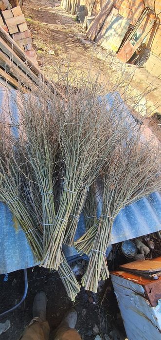 Веник. Метла.Продам .