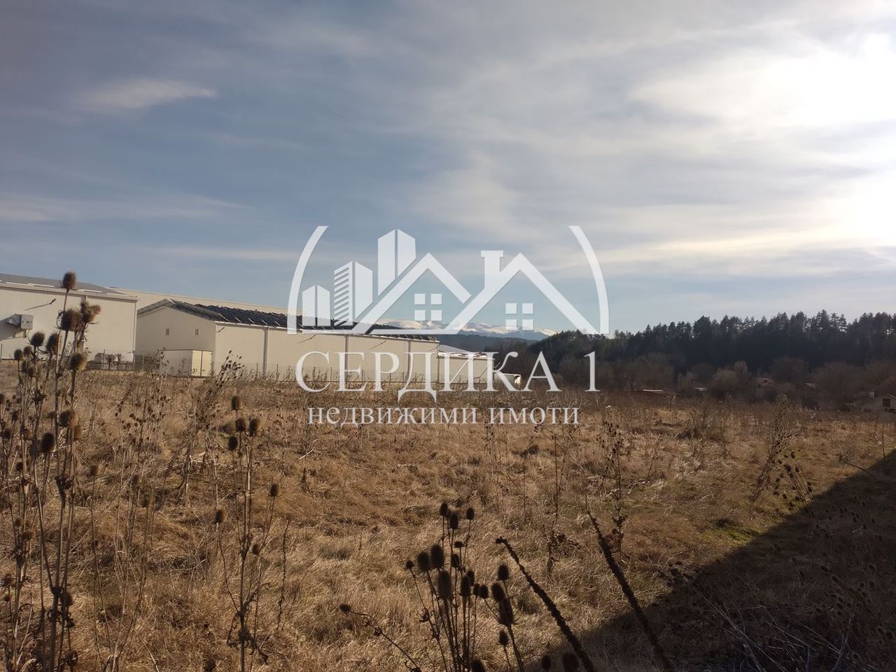 Продава се Парцел в с. Долна Диканя, Област Перник - 4799 кв.м за 47 €/кв.м - Снимка #3